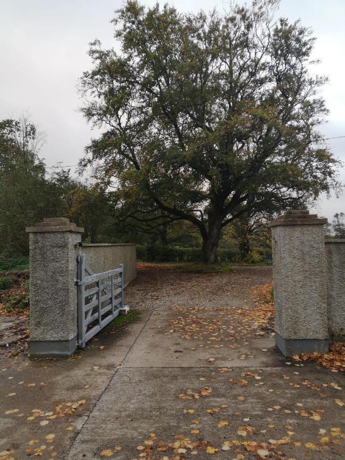 Kilpatrick Glebe Villa Crossabeg Екстериор снимка
